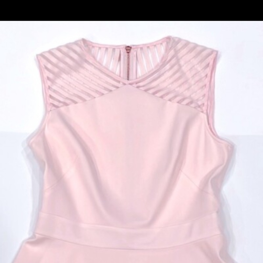 Ted Baker London Eleese Mesh Detail Skater Dress Light Pink – Size 1 (US 4) - Picture 5 of 9